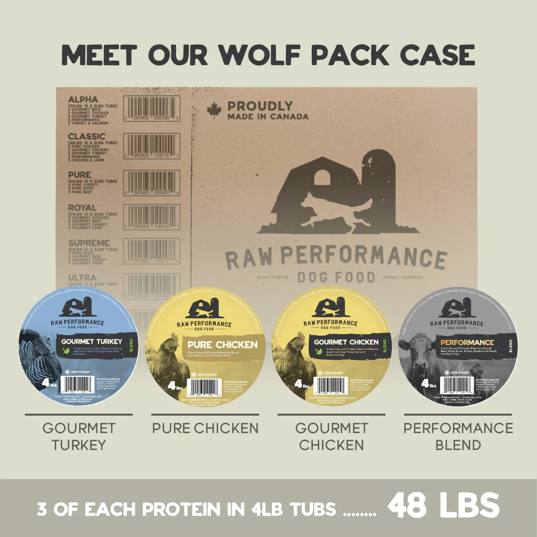 RP Wolf Pack