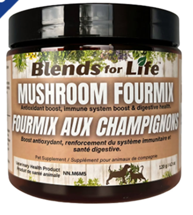 Blends For Life - Mushroom Fourmix - 120g
