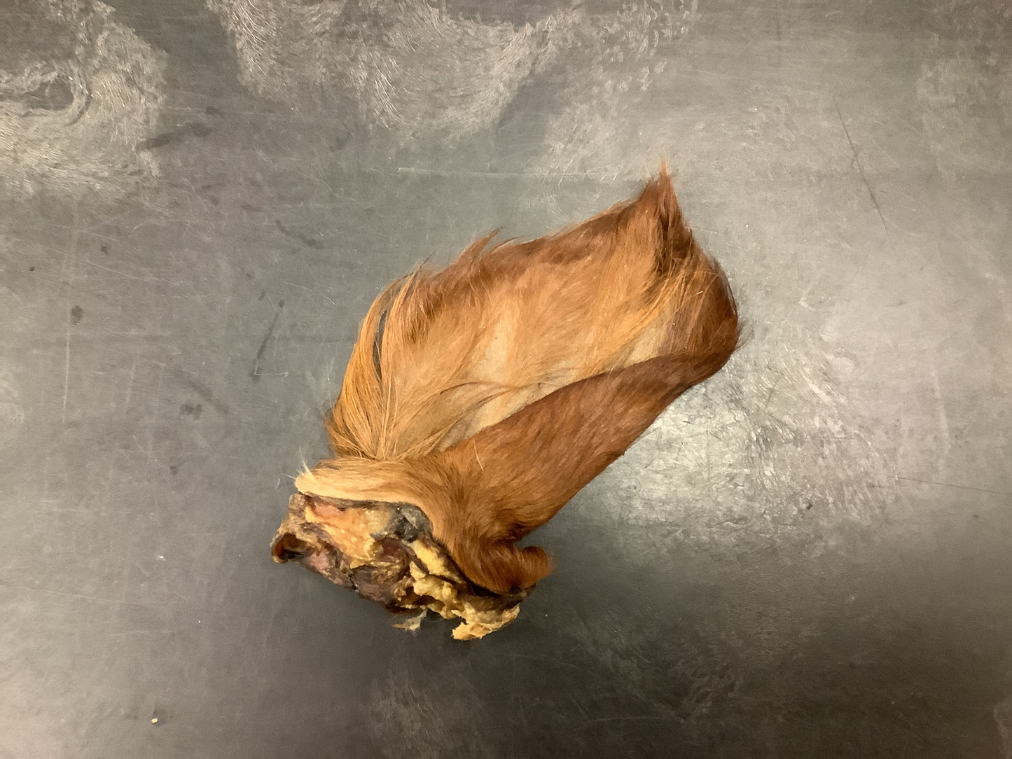 Dehydrated Furry Cow Ear
