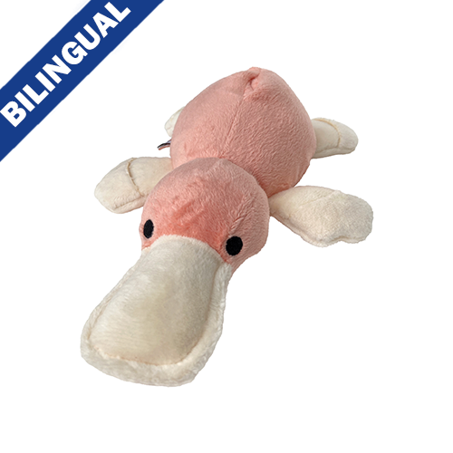 Toys - FouFIT Hide’n Seek Platypus