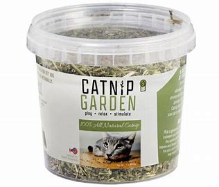 Catnip Garden