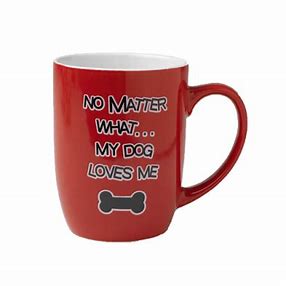 PETRAGENOUS NO MATTER WHAT MUG 24OZ