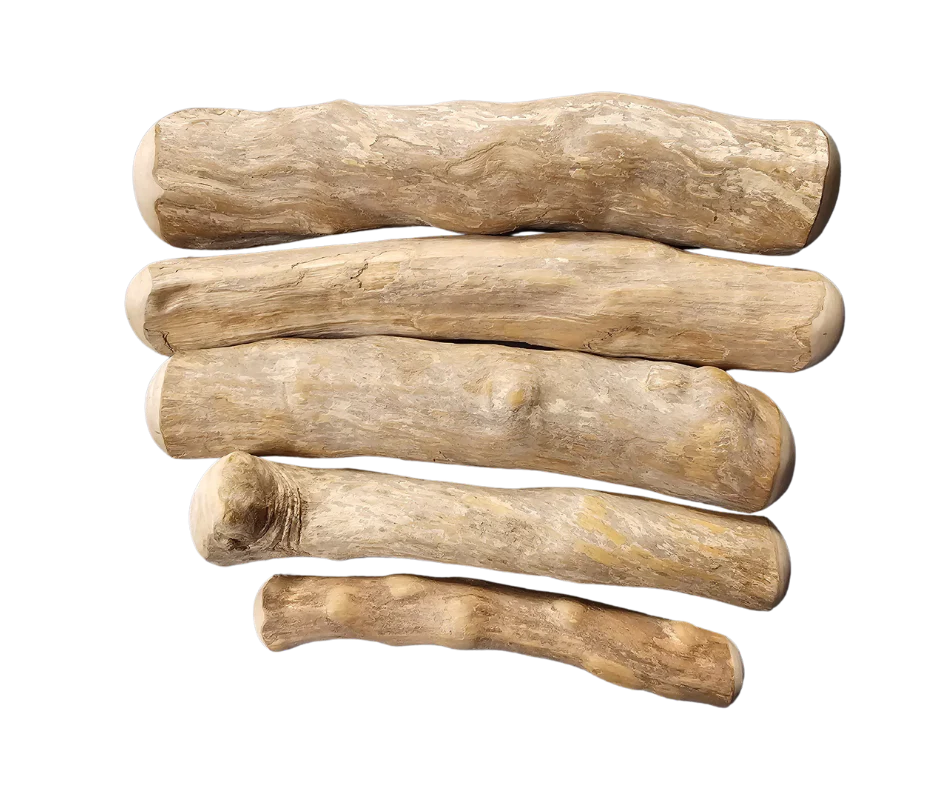 Canophera Coffee Tree Wood X-Small