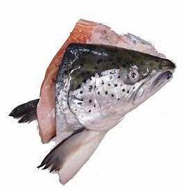 Congo - Salmon Heads - 3pk