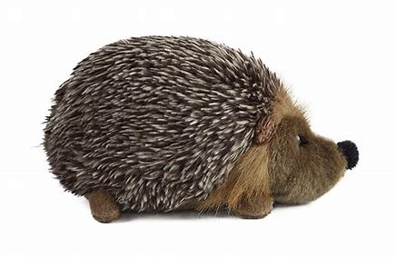 Toys Hedgehog medium