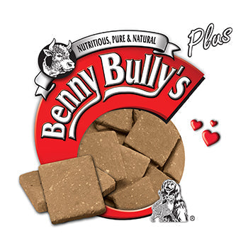 Benny Bully