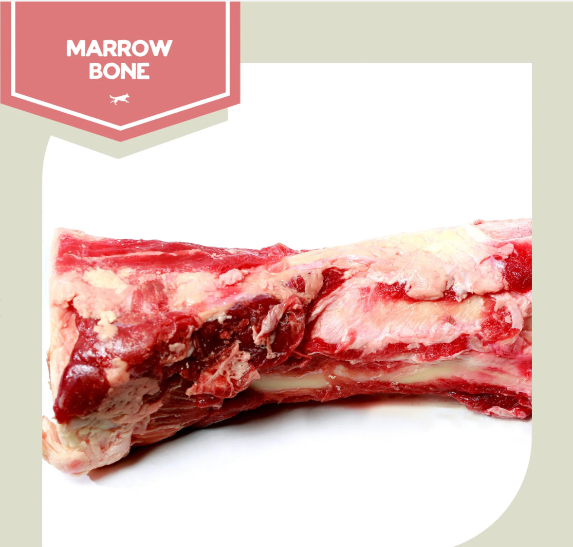 RP Marrow Bone - Large