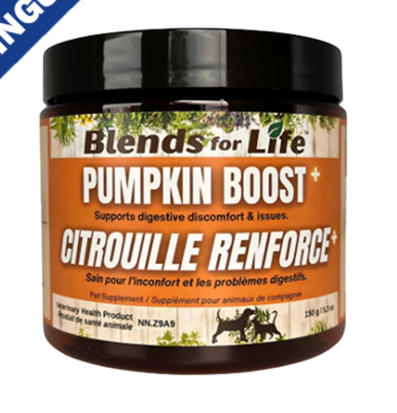Blends for Life - Pumpkin Boost+ 150g