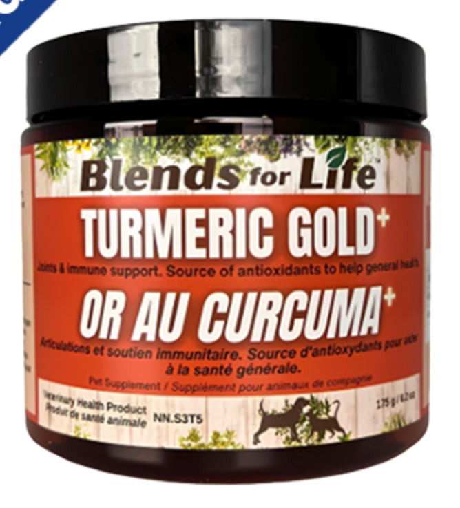 Blends For Life - Turmeric Gold Plus - 175g