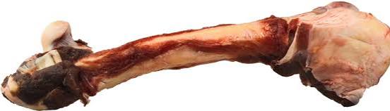 K9 Choice - Kangaroo Leg Bone