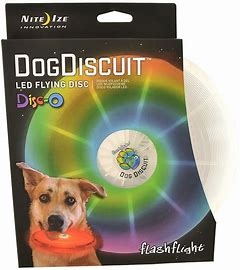 Flash flight DogDiscuit