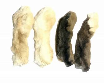 Dehydrated Rabbit Feet