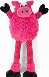 Toys Go Dog skinny pig