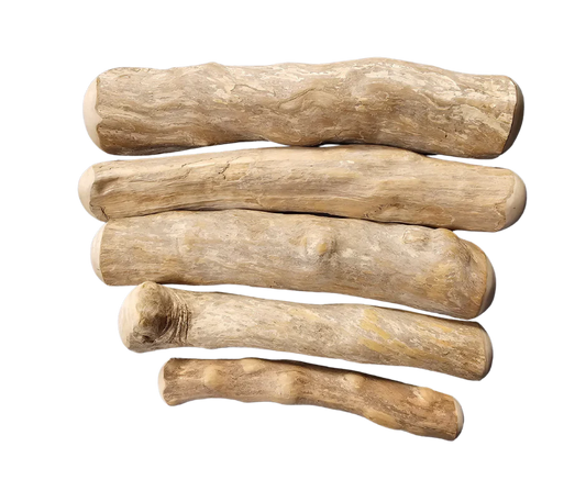 Canophera Coffee Tree Wood X-Small