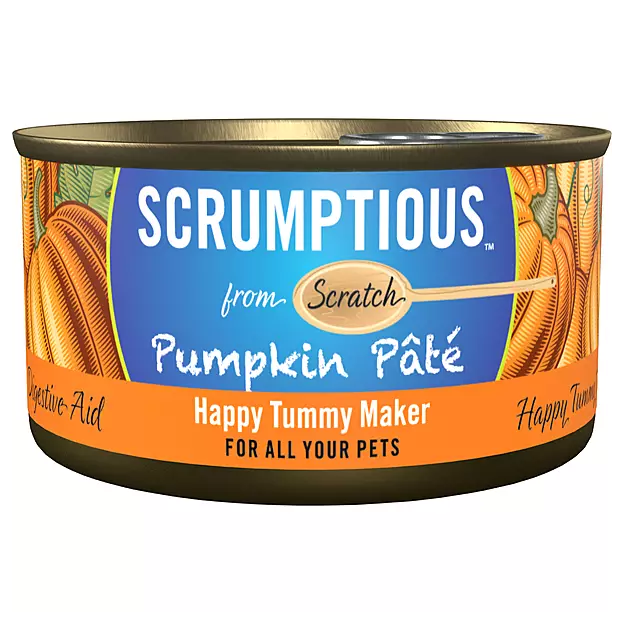 SCRUMPTIOUS FROM SCRATCH Pumpkin Pate 79g
