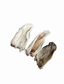 Dehydrated Rabbit Ears - Single