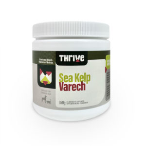BCR - Thrive - Sea Kelp