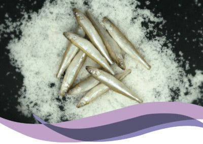 Smelts - 11lbs